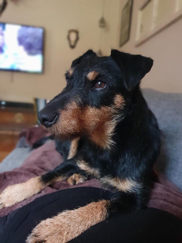 SE46186/2019 Illvrålets Lida